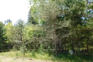 14200 Plagany Rd, Bear Lake, MI 49614 - Photo 20
