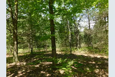 14200 Plagany Road, Bear Lake, MI 49614 - Photo 28