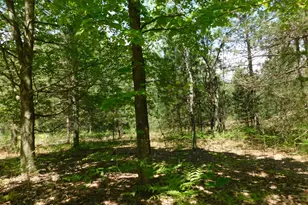 14200 Plagany Rd, Bear Lake, MI 49614 - Photo 28