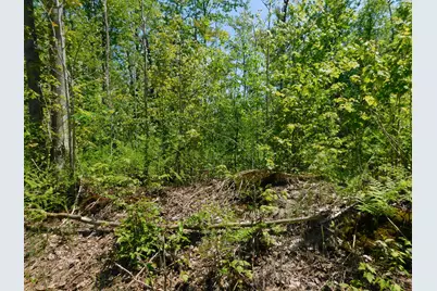 14200 Plagany Road, Bear Lake, MI 49614 - Photo 30