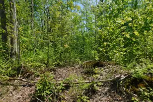 14200 Plagany Rd, Bear Lake, MI 49614 - Photo 30