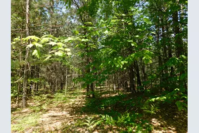 14200 Plagany Road, Bear Lake, MI 49614 - Photo 24