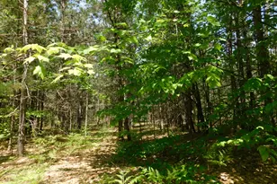 14200 Plagany Rd, Bear Lake, MI 49614 - Photo 24