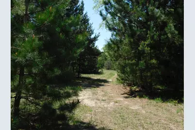 14200 Plagany Road, Bear Lake, MI 49614 - Photo 16