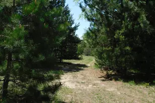 14200 Plagany Rd, Bear Lake, MI 49614 - Photo 16