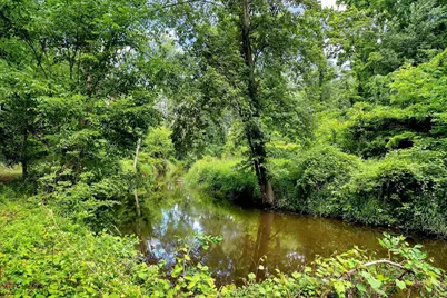 V/L #1 Farrel Road, Hastings, MI 49058 - Photo 8