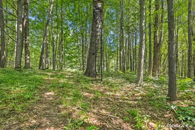 10240 Connelley Avenue NE, Greenville, MI 48838 - Photo 48