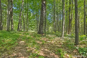 10240 Connelley Ave NE, Greenville, MI 48838 - Photo 48