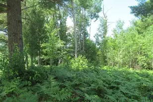 63 White Pine Dr, Cadillac, MI 49601 - Photo 1