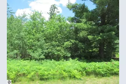 63 White Pine Drive, Cadillac, MI 49601 - Photo 6