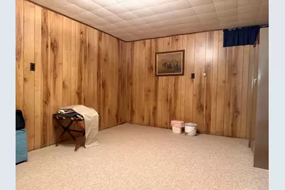 247 W North Street, Hastings, MI 49058 - Photo 36