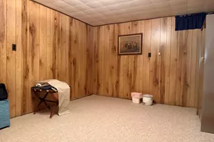 247 W North St, Hastings, MI 49058 - Photo 36