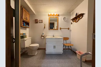 247 W North Street, Hastings, MI 49058 - Photo 24