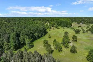 4622 Vista Valley Trail, Mesick, MI 49668 - Photo 48
