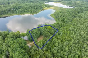 730 W Evergreen Rd, Sidney, MI 48885 - Photo 44