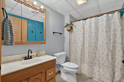 117 Charlotte Street, Edmore, MI 48829 - Photo 36