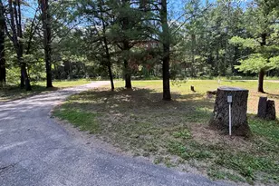 2594 S Forman Rd, Baldwin, MI 49304 - Photo 6