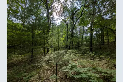 N Silver Ridge Road #Lot 31, Mears, MI 49436 - Photo 8