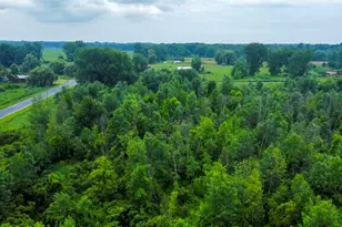 60196 Co Rd 376, Bangor, MI 49013 - Photo 1