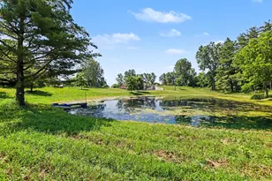 57 N Mason, Vermontville, MI 49096 - Photo 44