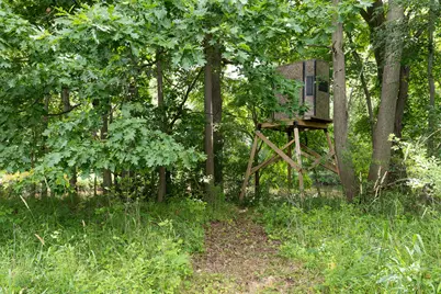 19280 Michigan 60, Homer, MI 49245 - Photo 38