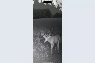 19280 Michigan 60, Homer, MI 49245 - Photo 56