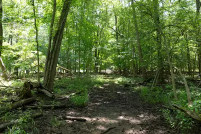 19280 Michigan 60, Homer, MI 49245 - Photo 32