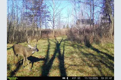 19280 Michigan 60, Homer, MI 49245 - Photo 42