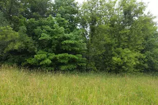 10044 8 Mile Rd, Ceresco, MI 49033 - Photo 20