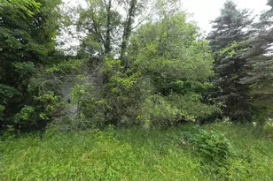 10044 8 Mile Rd, Ceresco, MI 49033 - Photo 18