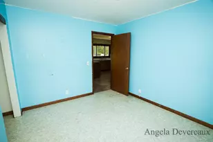 3183 Belding Rd, Orleans, MI 48865 - Photo 14