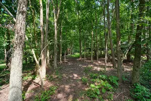 4490 Dey Hwy, Hudson, MI 49247 - Photo 54
