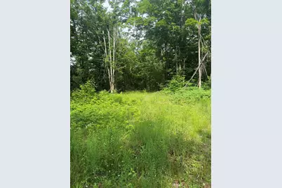 00 Babbit Rd, Frederic, MI 49733 - Photo 12