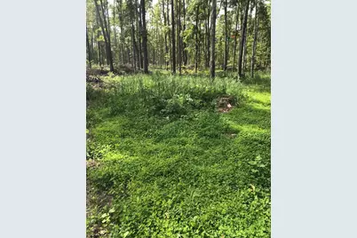 00 Babbit Rd, Frederic, MI 49733 - Photo 20