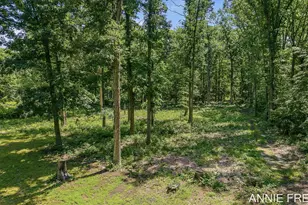1375 56th St, Fennville, MI 49408 - Photo 62