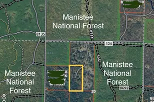 13325 W Pine Lake Rd, Manistee, MI 49660 - Photo 48