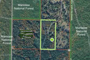 13325 W Pine Lake Rd, Manistee, MI 49660 - Photo 48