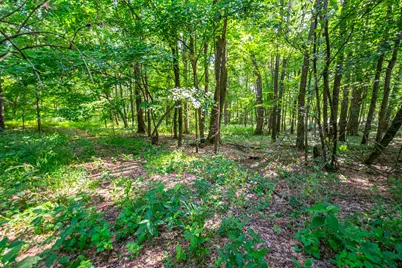 559 W Burr Oak, Athens, MI 49011 - Photo 6