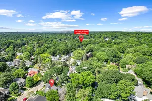 530 W Main St, Northville, MI 48167 - Photo 86