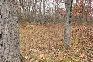 Woodbridge, Bitely, MI 49309 - Photo 1