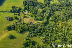 13399 Wing Rd, Bellevue, MI 49021 - Photo 74