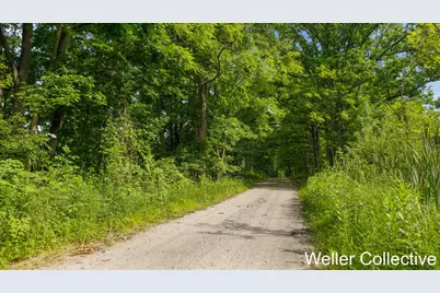 13399 Wing Road, Bellevue, MI 49021 - Photo 60