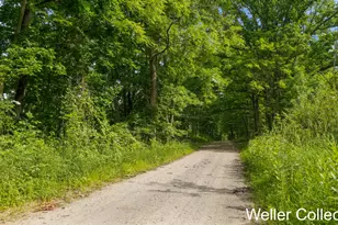 13399 Wing Rd, Bellevue, MI 49021 - Photo 60