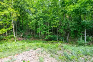 412 63rd St, South Haven, MI 49090 - Photo 42