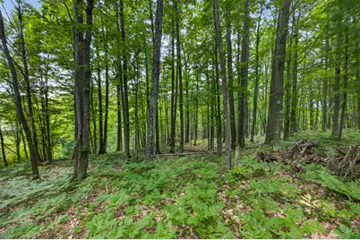 0 S 47 3/4 Road, Cadillac, MI 49601 - Photo 24