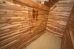 907 Bruce St, Ann Arbor, MI 48103 - Photo 10