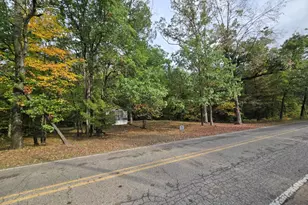 8776 N Blair Dr, Bitely, MI 49309 - Photo 28