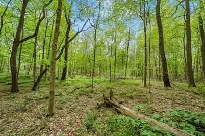 18731 Williamsville Street, Cassopolis, MI 49031 - Photo 30