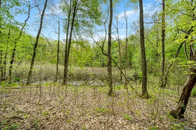 18731 Williamsville Street, Cassopolis, MI 49031 - Photo 40