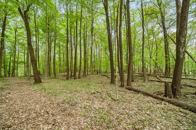 18731 Williamsville Street, Cassopolis, MI 49031 - Photo 32